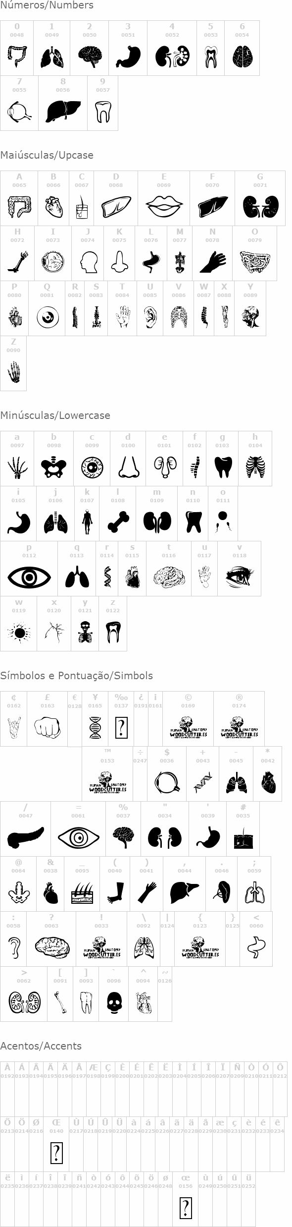 Human Anatomy